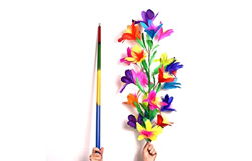 SUMAG Magietricks 1 Stück verschwindender Gehstock mit verschwundenen Regenbogen-Metallrohren zu Blumen (21 Blumen) Magic Tricks Professional Magier Bühne Gimmick Lustig von SUMAG