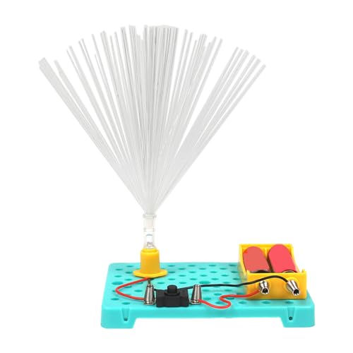SUMMITDRAGON Kinder Handwerk Glasfaser Licht Kits Mit Farblich Ändernden Technologie Klassenzimmer Wissenschaftsprojekten Und Lernspielzeug von SUMMITDRAGON