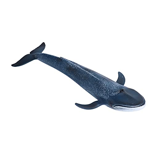 SUNGOOYUE Exquisites Blue Whale -Figurmodell, Bildungsspielzeug für für, Stimuliert Vorstellungskraft und Kreativität, Sicheres Material, Größe: 10,6 X 3,9 X 1,6 Zoll von SUNGOOYUE