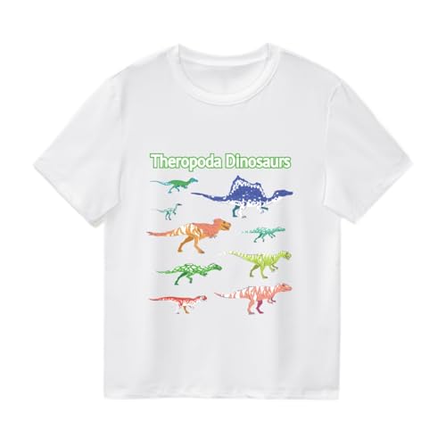 SUPTTING Kinder T-Shirt Theropoda Dinosaurier Aufdruck Mehrfarbige Dino Kurzarm Oberteil Jungen Shirt Freizeitshirt Top Strandshirt Oberteil Bekleidung Kindergarten Schulshirt Lernshirt SUPTTING Kinder T-Shirt Theropoda Dinosaurier Aufdruck Mehrfarbige Dino Kurzarm Oberteil Jungen Shirt Freizeitshirt Top Strandshirt Oberteil Bekleidung Kindergarten Schulshirt Lernshirt von SUPTTING