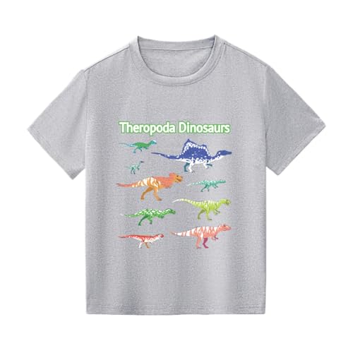 SUPTTING Kinder T-Shirt Theropoda Dinosaurier Aufdruck Mehrfarbige Dino Kurzarm Oberteil Jungen Shirt Freizeitshirt Top Strandshirt Oberteil Bekleidung Kindergarten Schulshirt Lernshirt SUPTTING Kinder T-Shirt Theropoda Dinosaurier Aufdruck Mehrfarbige Dino Kurzarm Oberteil Jungen Shirt Freizeitshirt Top Strandshirt Oberteil Bekleidung Kindergarten Schulshirt Lernshirt von SUPTTING