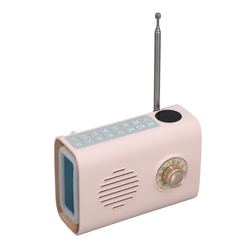 Miniaturlautsprecher, Solar Powered Tragbares Lautsprecher Radio mit Leichten, Drahtlosen Musikplayer für Outdoor, Lautsprecher RV Tragbar (Rosig) von SUPYINI