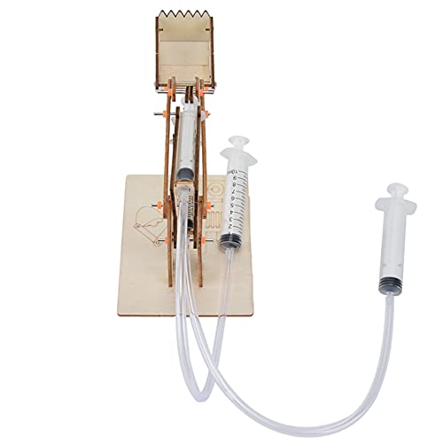 STEM -Baggermodell, Pädagogische DIY -Wissenschaftsexperiment Spielzeugset, Verbesserung der Kreativität und Praktischen Fähigkeiten mit Holzmaterialien für Alter 4+ STEM -Baggermodell, Pädagogische DIY -Wissenschaftsexperiment Spielzeugset, Verbesserung der Kreativität und Praktischen Fähigkeiten mit Holzmaterialien für Alter 4+ von SUPYINI