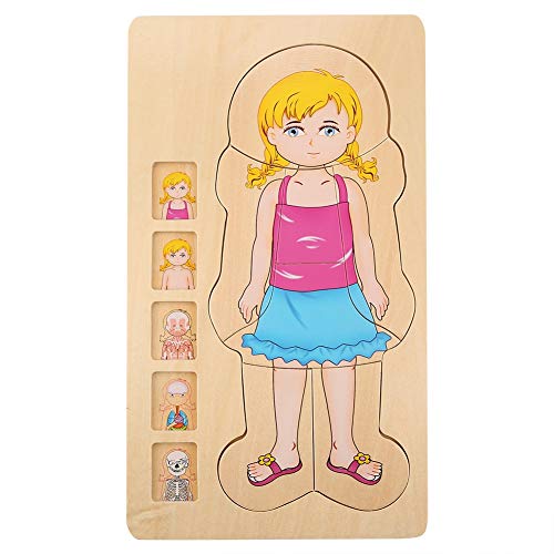 SUPYINI Hölzern Mehrschichtiger Ziegelspielzeug, Sicheres und Farbenfrohes Bildungsspielzeug für, Entwickelt Anerkennungsfähigkeit, Farbiges und Pädagogisches Spielzeug für (Mädchen) von SUPYINI