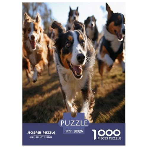 Der Border Collie Puzzle 1000-teilige Schwer Puzzle Spielzeug Lernspiel Impossible Herausforderungsspielzeug Für Erwachsene Und Kinder Ab 12 Jahren 38x26cm/1000pcs von SVZCMAVDP