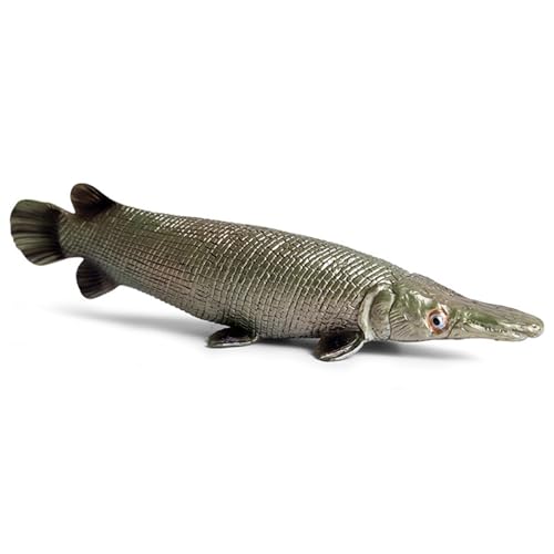 SWEETBIUTI Sea Animal Toys Realistische Plastikfischtier -Figuren Simulierte Ozeanspielzeugmodell Dekoration Frühes Bildungs Meer Kreaturen Spielzeug für Kinder Kleinkinder, Fisch SWEETBIUTI Sea Animal Toys Realistische Plastikfischtier -Figuren Simulierte Ozeanspielzeugmodell Dekoration Frühes Bildungs Meer Kreaturen Spielzeug für Kinder Kleinkinder, Fisch von SWEETBIUTI