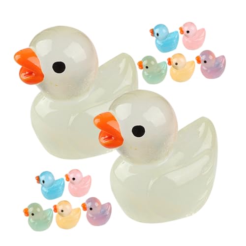 SWOOMEY 12 Stück Miniatur Ente Figuren aus Resin Farbige Dekoration für Garten Puppenhaus Balkon und Mehr Realistische Details Langlebig und Vielseitig Einsetzbar von SWOOMEY