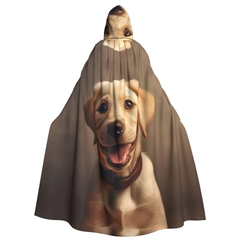 SXOOGE Süßer Labrador-Hunde-Halloween-Umhang, Unisex, Kapuzenumhang, Cosplay-Kostüm, Umhang für Halloween, Kapuzenuniform SXOOGE Süßer Labrador-Hunde-Halloween-Umhang, Unisex, Kapuzenumhang, Cosplay-Kostüm, Umhang für Halloween, Kapuzenuniform von SXOOGE