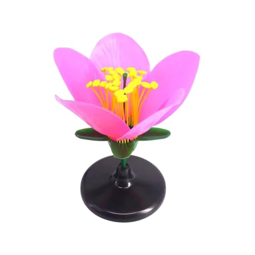 Vergrößertes Pfirsichblumenmodell für Mittelschule, Biologie, Klassenzimmer, Demonstrationen mit abnehmbaren Blütenblättern und Staubblättern, Biologieunterricht für Schüler, 1 Stück von SXRQ