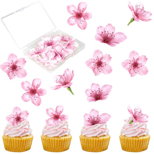 40 Stück Essbar Kirsche Blumen Cupcake Toppers Kirsche Blüte Thema Braut Dusche Tortendeko Reis Papier Waffel Papier Cupcake Toppers für Baby Dusche Geburtstag Party Kuchen Dekorationen Rosa 40 Stück Essbar Kirsche Blumen Cupcake Toppers Kirsche Blüte Thema Braut Dusche Tortendeko Reis Papier Waffel Papier Cupcake Toppers für Baby Dusche Geburtstag Party Kuchen Dekorationen Rosa von SYKYCTCY