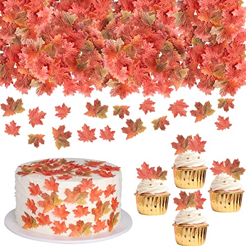 40 Stück Essbare Ahornblatt Cupcake Toppers Maple Leaf Tortendeko Herbst Blätter Muffin Dekoration für Thanksgiving Thema Baby Dusche Kinder Geburtstag Party Kuchen Dekorationen Zubehör 40 Stück Essbare Ahornblatt Cupcake Toppers Maple Leaf Tortendeko Herbst Blätter Muffin Dekoration für Thanksgiving Thema Baby Dusche Kinder Geburtstag Party Kuchen Dekorationen Zubehör von SYKYCTCY