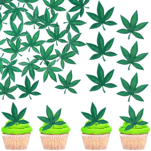 60 Stück Essbare Blatt Tortendeko Waffel Papier Cupcake Toppers Tropische Palmen Blätter Kuchen Deko für Hawaii Thema Dschungel Sommer Hochzeit Baby Dusche Geburtstag Party Torte Dekorationen Grün 60 Stück Essbare Blatt Tortendeko Waffel Papier Cupcake Toppers Tropische Palmen Blätter Kuchen Deko für Hawaii Thema Dschungel Sommer Hochzeit Baby Dusche Geburtstag Party Torte Dekorationen Grün von SYKYCTCY