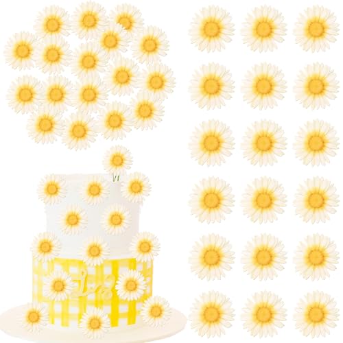 60 Stück Essbare Blumen Cupcake Toppers Essbare Waffel Papier Blume Tortendeko Hawaii-Blumen Kuchen Dekorationen für Tropical Luau Thematische Baby Shower Geburtstag Party Weiß 60 Stück Essbare Blumen Cupcake Toppers Essbare Waffel Papier Blume Tortendeko Hawaii-Blumen Kuchen Dekorationen für Tropical Luau Thematische Baby Shower Geburtstag Party Weiß von SYKYCTCY