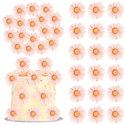 60 Stück Essbare Blumen Tortendeko Essbare Waffel Papier Blume Kuchen Deko Hawaii-Blumen Cupcake Toppers für Tropical Luau Thematische Baby Shower Geburtstag Party Kuchen Dekorationen Rosa 60 Stück Essbare Blumen Tortendeko Essbare Waffel Papier Blume Kuchen Deko Hawaii-Blumen Cupcake Toppers für Tropical Luau Thematische Baby Shower Geburtstag Party Kuchen Dekorationen Rosa von SYKYCTCY