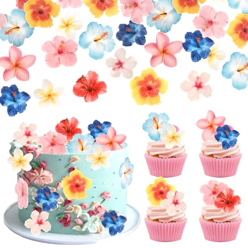 60 Stück Essbare Blumen Tortendeko Waffel Papier Blumen Kuchen Deko Blume Cupcake Toppers für Luau Hawaii Blume Hochzeit Baby Dusche Geburtstag Thema Party Kuchen Dekorationen Buntes 60 Stück Essbare Blumen Tortendeko Waffel Papier Blumen Kuchen Deko Blume Cupcake Toppers für Luau Hawaii Blume Hochzeit Baby Dusche Geburtstag Thema Party Kuchen Dekorationen Buntes von SYKYCTCY