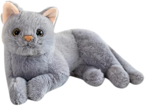 SYTTNUM Graue Katze Plüsch, Niedliche Katze Plüsch, Tierische Cat Plüschtier, Weich und Bequem, Kinder Spielkamerad Geburtstags Geschenk, 30CM SYTTNUM Graue Katze Plüsch, Niedliche Katze Plüsch, Tierische Cat Plüschtier, Weich und Bequem, Kinder Spielkamerad Geburtstags Geschenk, 30CM von SYTTNUM