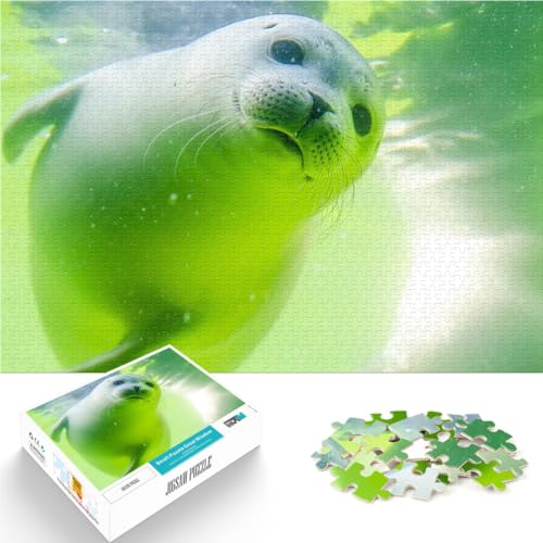 Robbe unter Wasser 1000-teilige Puzzles für Erwachsene Spielzeug für die ganze Familie Jedes Stück ist einzigartig – Anspruchsvolles Familienspiel 38x26cm Robbe unter Wasser 1000-teilige Puzzles für Erwachsene Spielzeug für die ganze Familie Jedes Stück ist einzigartig – Anspruchsvolles Familienspiel 38x26cm von SYUNFEI