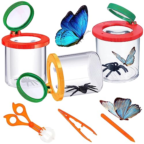 Insekten Lupe BehäLter 3 Stück Insekten Viewer Becherlupe Set Kinder Insekten Beobachtungsbox Kinder Becherlupen für Kinder mit Insektenfallen, Pinzetten, Ahlen für Die Beobachtung Von Insekten Insekten Lupe BehäLter 3 Stück Insekten Viewer Becherlupe Set Kinder Insekten Beobachtungsbox Kinder Becherlupen für Kinder mit Insektenfallen, Pinzetten, Ahlen für Die Beobachtung Von Insekten von SZQIUNUBI