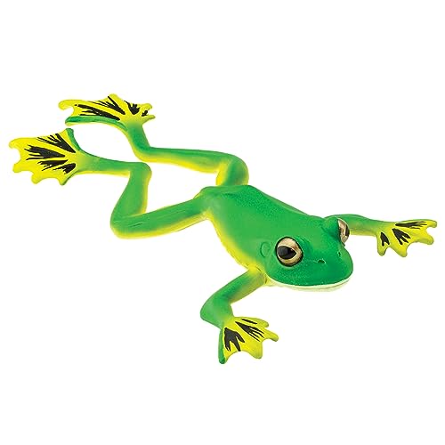 Safari Ltd. Flying Tree Frosch Figur – Lebensechte 20,3 cm Amphibien-Figur – Lernspielzeug für Jungen, Mädchen und Kinder ab 3 Jahren von Safari Ltd.