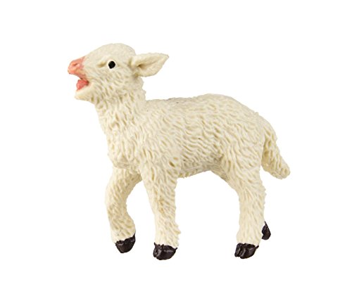Safari 2337-29 - Lamm von Safari Ltd.