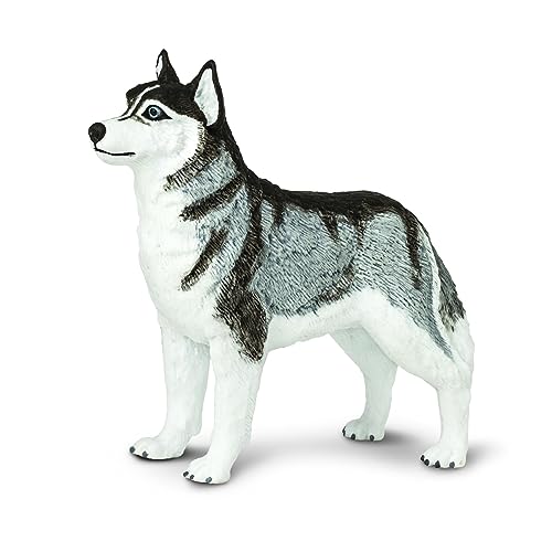 Safari - Husky Siberian Tiere, Mehrfarbig (S255229) von Safari