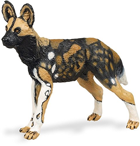 Safari Ltd Afrikanischer Wilder Hund Safari Ltd Afrikanischer Wilder Hund von Safari Ltd