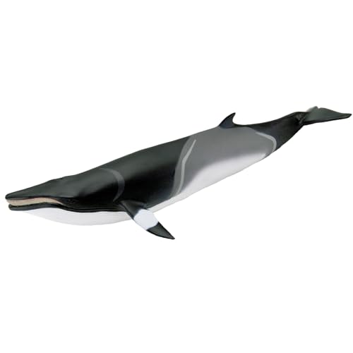 Safari Ltd. Minkewal-Figur | 7“ realistische Meeresfigur | Ungiftiges & BPA-freies Kinderspielzeug | Für Kinder ab 3 Jahren geeignet Safari Ltd. Minkewal-Figur | 7“ realistische Meeresfigur | Ungiftiges & BPA-freies Kinderspielzeug | Für Kinder ab 3 Jahren geeignet von Safari Ltd.