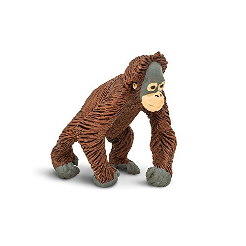 Safari Ltd. Wild Wildlife Orang-Utan Baby Safari Ltd. Wild Wildlife Orang-Utan Baby von Safari Ltd.