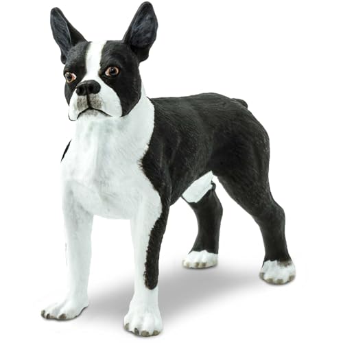 Safari Ltd. Best in Show Dogs 255029 - Boston Terrier Safari Ltd. Best in Show Dogs 255029 - Boston Terrier von Safari Ltd.