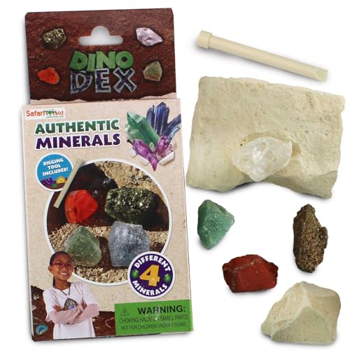 Safari Ltd. Dino Dexter Ausgrabungs-Set aus echten Mineralien, authentisches Mineralgraben-Spielzeug für Jungen, Mädchen und Kinder ab 6 Jahren Safari Ltd. Dino Dexter Ausgrabungs-Set aus echten Mineralien, authentisches Mineralgraben-Spielzeug für Jungen, Mädchen und Kinder ab 6 Jahren von Safari Ltd.