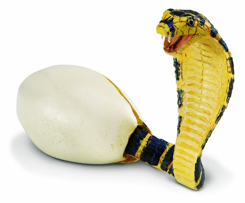 Safari Ltd. Plastoy 2585-29 Figur - Schlüpfende Kobra Safari Ltd. Plastoy 2585-29 Figur - Schlüpfende Kobra von Safari Ltd.