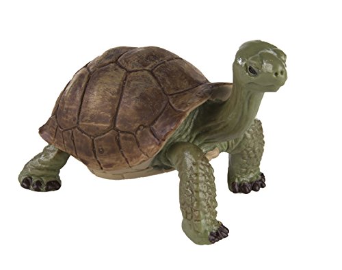 Safari Ltd. Riesenschildkröte von Safari Ltd.