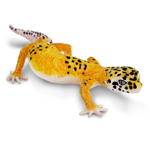 Safari Ltd. Spielzeugfigur Leopard Gecko | Sammlung unglaublicher Kreaturen | ungiftig und BPA-frei | Spielzeugtiere | geeignet für Kinder ab 3 Jahren, Gelb Safari Ltd. Spielzeugfigur Leopard Gecko | Sammlung unglaublicher Kreaturen | ungiftig und BPA-frei | Spielzeugtiere | geeignet für Kinder ab 3 Jahren, Gelb von Safari Ltd.