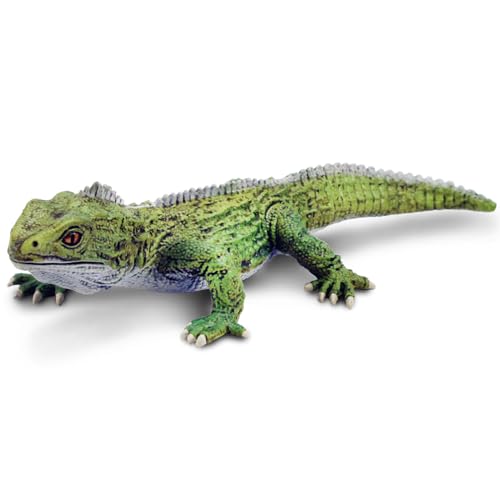 Safari Ltd. Spielzeugfigur von Tuatara, Sammlung unglaublicher Kreaturen, ungiftig und BPA-frei, Spielzeugtiere, geeignet für Kinder ab 3 Jahren Safari Ltd. Spielzeugfigur von Tuatara, Sammlung unglaublicher Kreaturen, ungiftig und BPA-frei, Spielzeugtiere, geeignet für Kinder ab 3 Jahren von Safari Ltd.