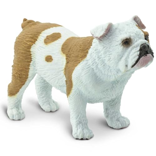 Safari Ltd. S250729 Best in Show Dogs Bulldog Tiere Kunststoff-Miniatur, Mehrfarbig, S Safari Ltd. S250729 Best in Show Dogs Bulldog Tiere Kunststoff-Miniatur, Mehrfarbig, S von Safari Ltd.