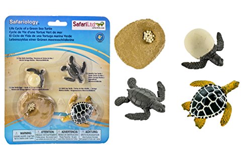 Safari 662316 Life Cycle of a Green Sea Turtle Figuren von Safari Ltd.