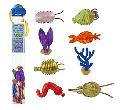 Safari Toobs Cambrian Life Miniatur-Nachbildungs-Set: Figurine, Tier, Vorzeit, 8 Nachbildungen, Empfohlen für Kinder ab 3 Jahren von Safari Ltd.
