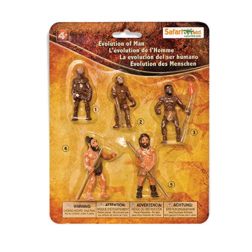 Safari SAF-381 Figuren-Set: Die menschliche Evolution von Safari Ltd.