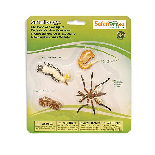 Safari 662616 Life Cycle of A Mosquito Safari 662616 Life Cycle of A Mosquito von Safari Ltd.