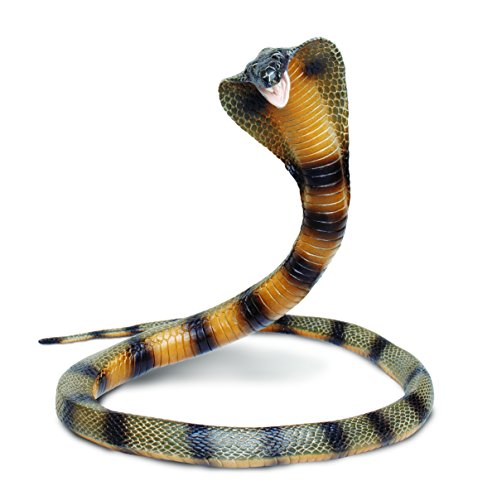 Toob "Safari Incredible Creatures Cobra Miniatur (Mehrfarbig) von Safari Ltd.