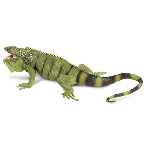 Safari Ltd. 267729 Iguana Reptilien IC Leguan-Figur, Grün/Schwarz Safari Ltd. 267729 Iguana Reptilien IC Leguan-Figur, Grün/Schwarz von Safari Ltd.