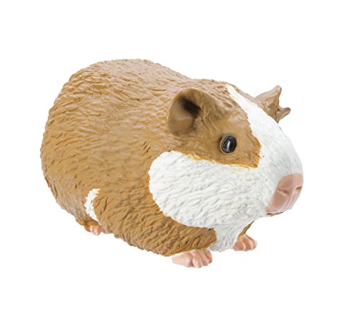 Toob "Safari Incredible Creatures Guinea Pig Miniatur (Mehrfarbig) von Safari Ltd.