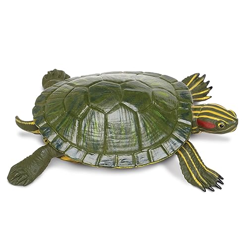 Toob Safari Ltd. Rotohr-Schildkröten-Figur – realistische 13,3 cm große Modellfigur – Lernspielzeug für Jungen, Mädchen und Kinder ab 18 Monaten von Safari Ltd.