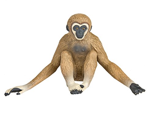 Safari Ltd Incredible Creatures® 228329 Gibbon von Safari Ltd.