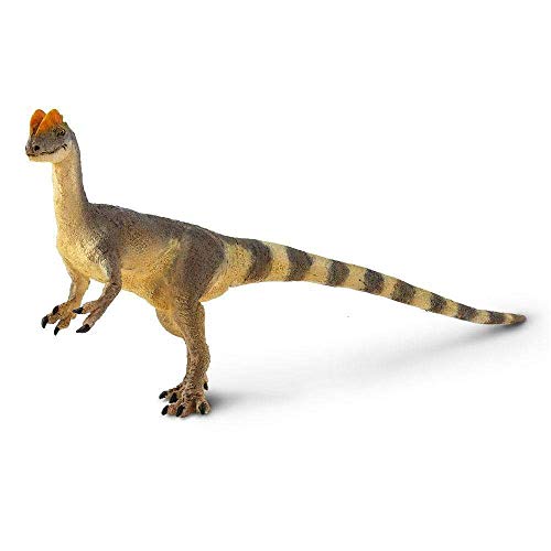 Safari Dilophosaurus Figur | 6“ Detaillierte prähistorische Figur | Ungiftig & BPA-frei | Geeignet für Kinder ab 3 Jahren Ltd Safari Dilophosaurus Figur | 6“ Detaillierte prähistorische Figur | Ungiftig & BPA-frei | Geeignet für Kinder ab 3 Jahren Ltd von Safari Ltd.