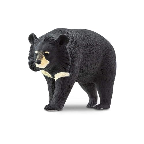 Safari Ltd Wild Wildlife 100044 - Teddybär mit Kragen Safari Ltd Wild Wildlife 100044 - Teddybär mit Kragen von Safari