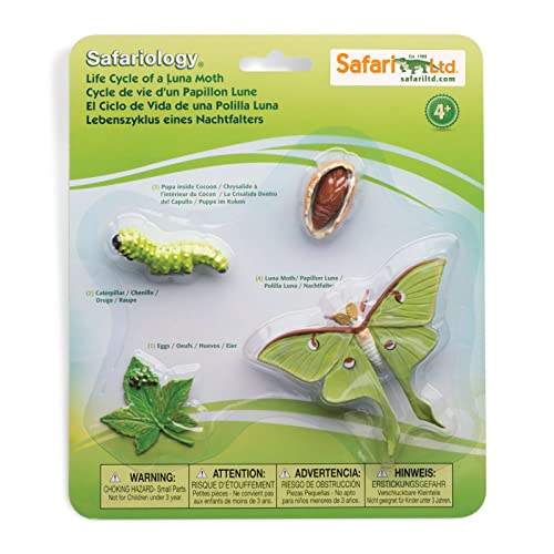 Safari Ltd. Lebenszyklus Einer Luna-Motte – Realistische pädagogische Spielzeugfiguren – Miniatur-Insekten-Lebenszyklus-Kollektion für Jungen, Mädchen und Kinder ab 4 Jahren von Safari Ltd.