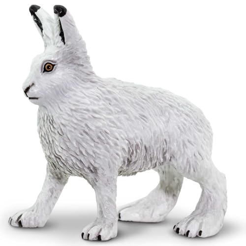 Safari Ltd. Arctic Hare – Realistic Hand Painted Toy Model – Quality Construction from Phthalat, Blei and BPA Free Materials – for Age 3 and Up von Safari Ltd.