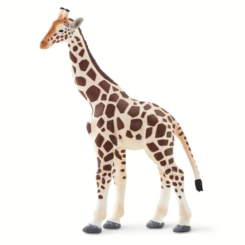 Safari Giraffe 12,4 cm | Zootierfigur | Ungiftig und BPA-frei | Für Kinder ab 3 Jahren geeignet Ltd Safari Giraffe 12,4 cm | Zootierfigur | Ungiftig und BPA-frei | Für Kinder ab 3 Jahren geeignet Ltd von Safari Ltd.