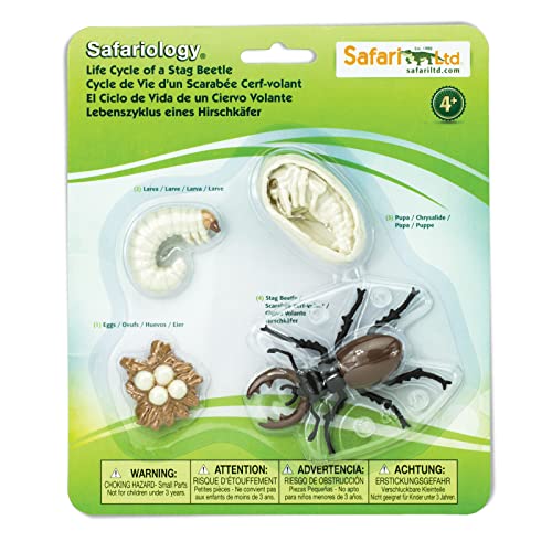 Safari Safariologie Ltd. Set mit 4 Figuren aus dem Lebenszyklus eines Käfers, Hirsch, für Jungen und Mädchen ab 4 Jahren, realistische Figuren Safari Safariologie Ltd. Set mit 4 Figuren aus dem Lebenszyklus eines Käfers, Hirsch, für Jungen und Mädchen ab 4 Jahren, realistische Figuren von Safari Ltd.